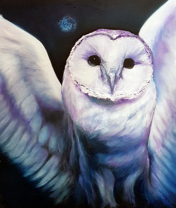 'Night Owl' - Limited Edition Canvas Print